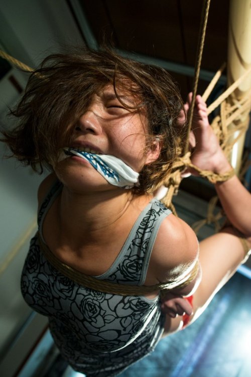 thevertigonetwork:Kinbaku Kasumi HouraiModel Akari MisakiPhoto...