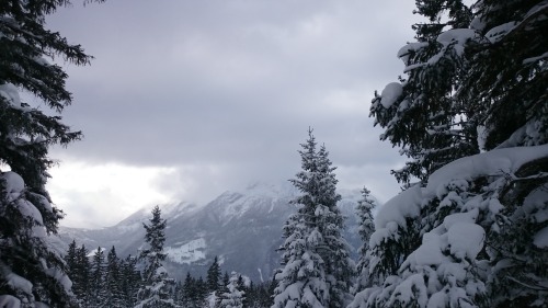 hopeless-vvanderer:went ski touring in Berchtesgardener Land,...