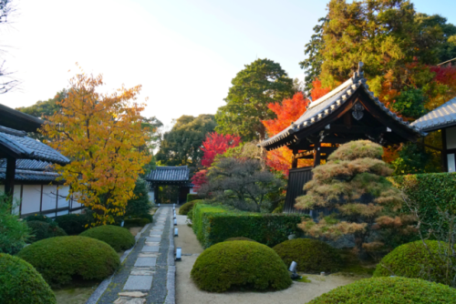 chitaka45:京都 御寺泉涌寺 別院 雲龍院kyoto sennyu-ji unryu-in temple