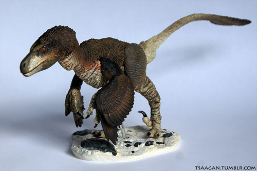 tsaagan:Beasts of the Mesozoic: Raptor Series 1/6th scale...