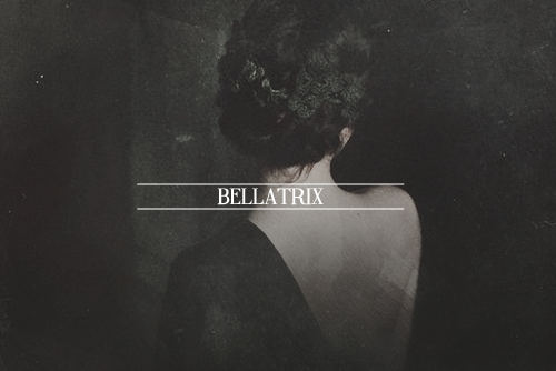 nxrcissa-malfoy:The Black Sisters.