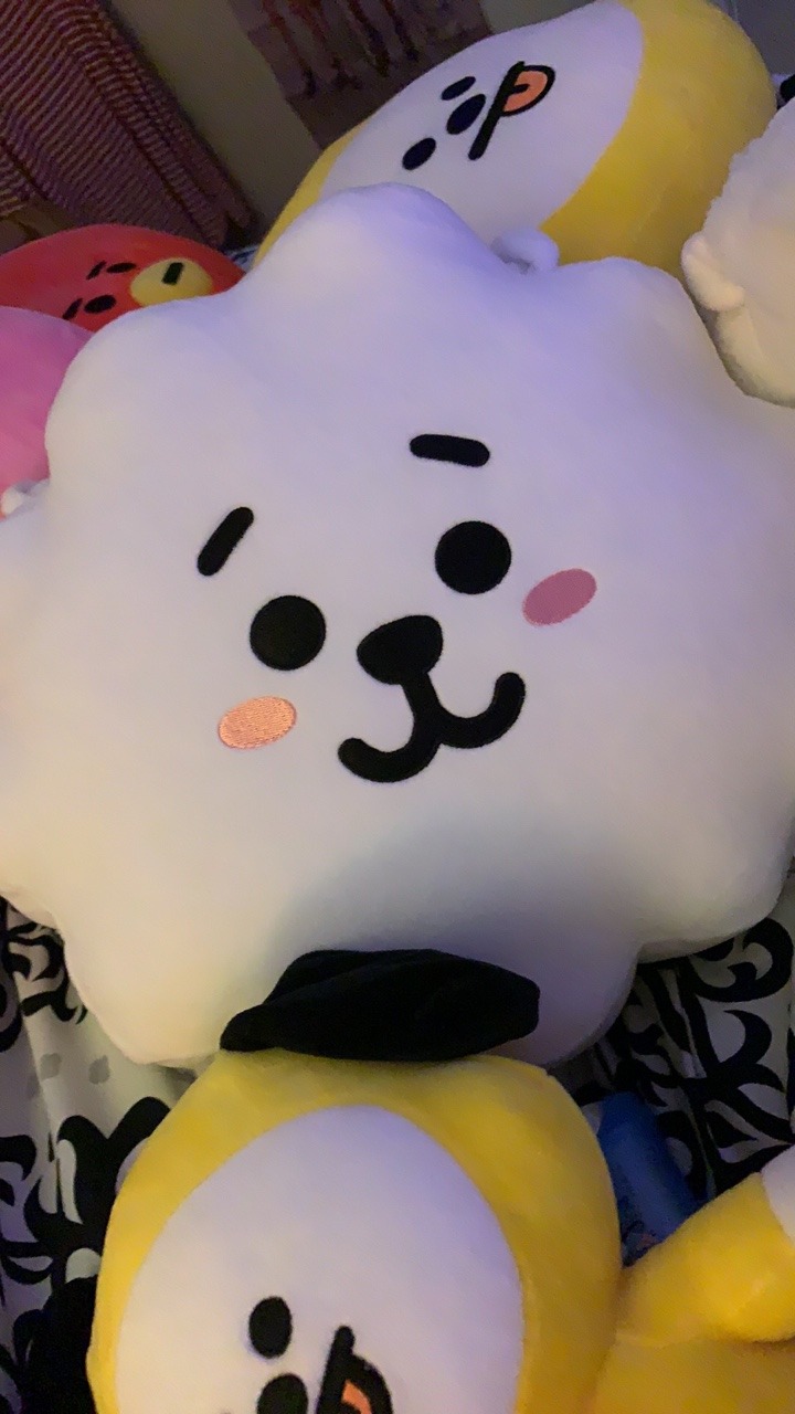 bt21 rj cushion