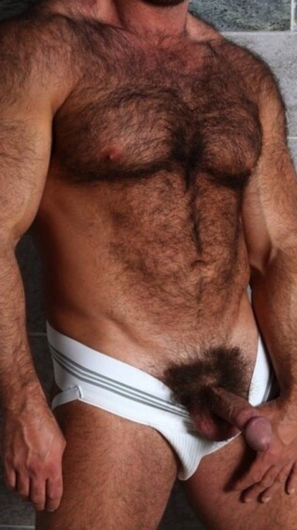 Gay & Hairy