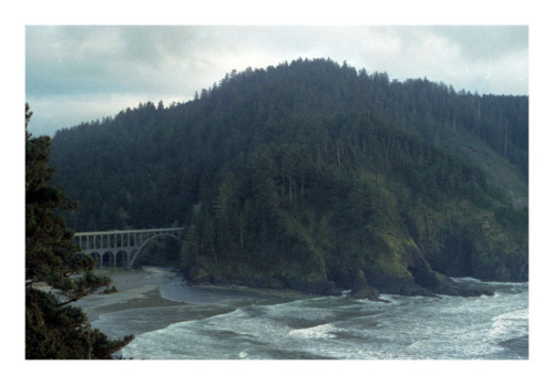 padehler:Florence, Oregonshot with an Olympus OM-1 / CineStill...