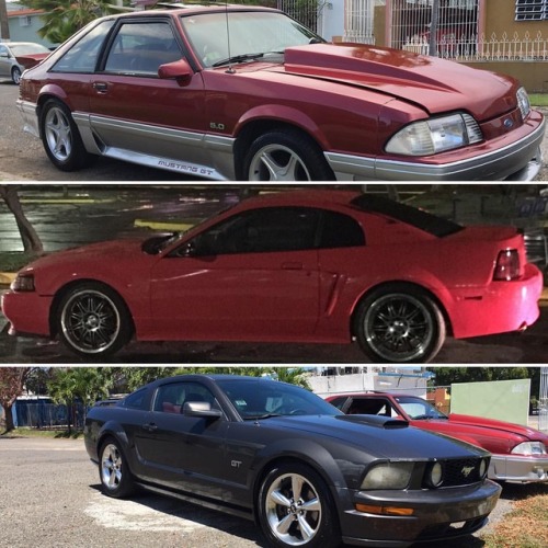 The stable#fordracing #ford #mustang #mustangstalker...