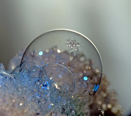 frozen bubble plus