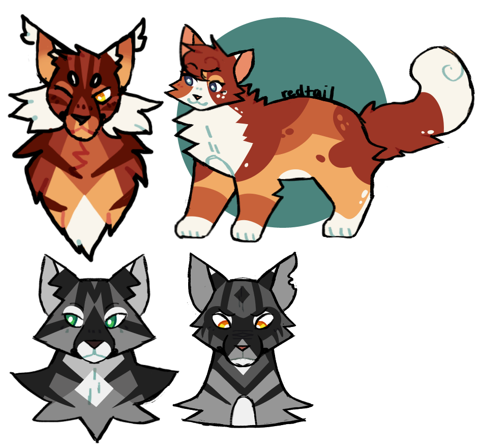 Скины в warrior cats. Warrior Cats РОБЛОКС. Окрасы для Warrior Cats: Ultimate Edition. Идеи для скинов в Warrior Cats. Коты Воители РОБЛОКС.