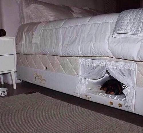 awwww-cute:This bed has a built-in dog bed (Source:...