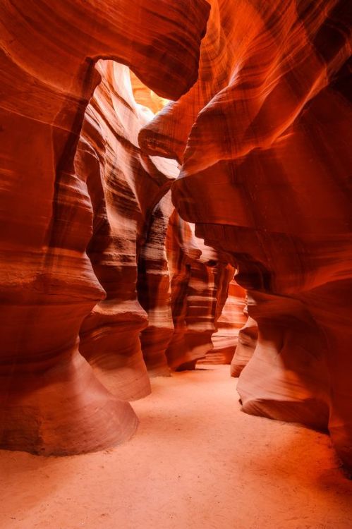 brookbooh:Explore Arizona