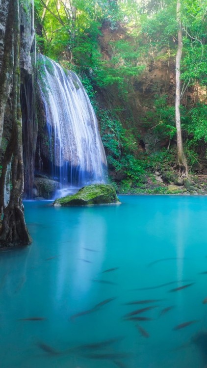 samsonbultje:Erawan National Park, Thailand I4702