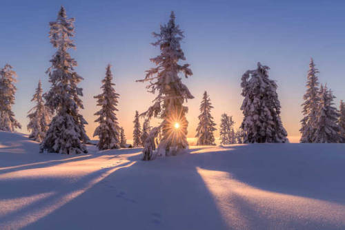 atraversso:Flawless Winter (photoset: by Jørn Allan...