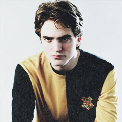 cedrico diggory on Tumblr