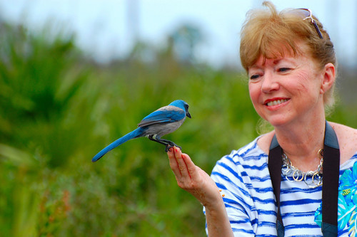 Cornell University - Great Backyard Bird Count goes global ...