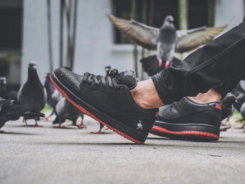 nike sb pigeon on feet