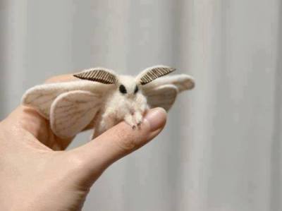 poodle moth plush