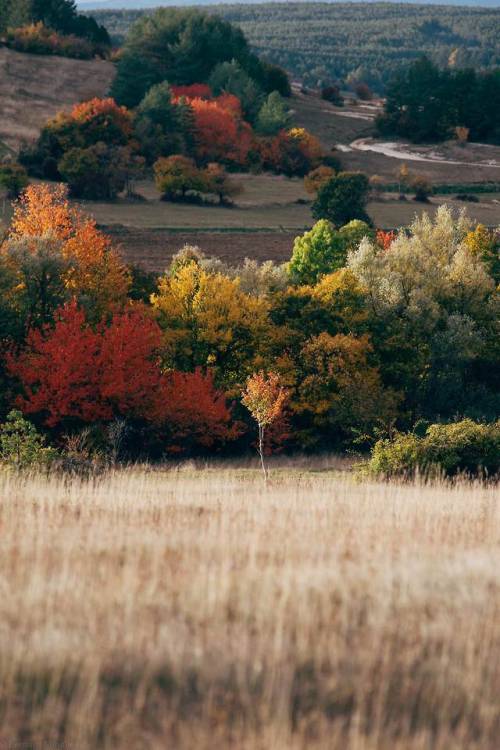 earthporn:Colors of autumn in Bosnia. Livno. [OC] [3000x2000]...