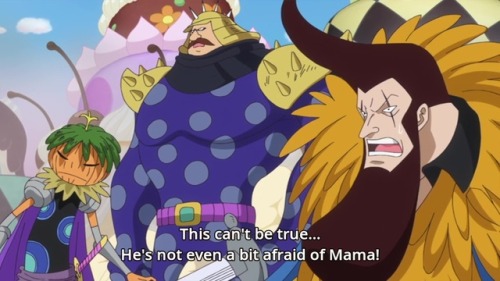 maximumthrill:You can’t be a Straw Hat unless you say...