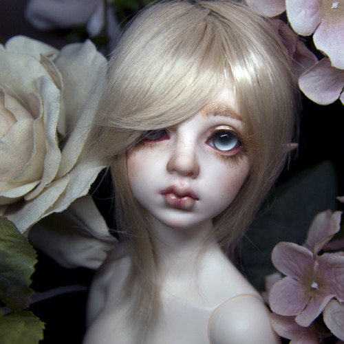 supia doll bjd