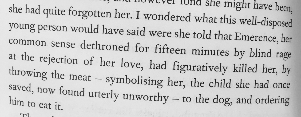 Perfect Sentences In Fiction Magda Szabo The Door Translated