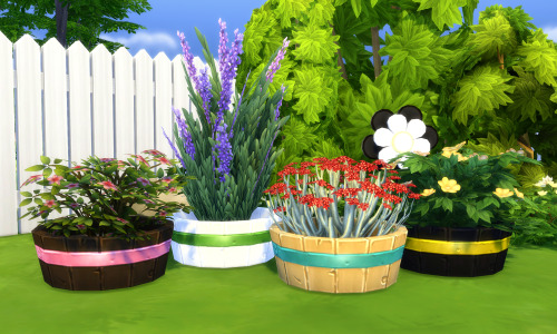 picture amoebae - Colour Me Planters: The Round One - by 