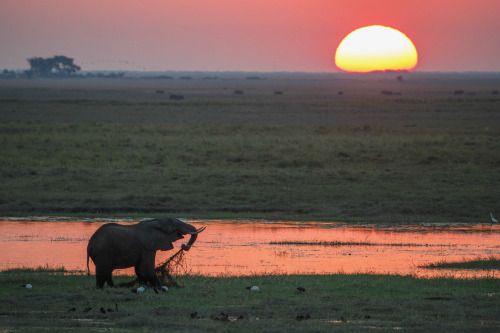 expressions-of-nature:by Alexander Sanin