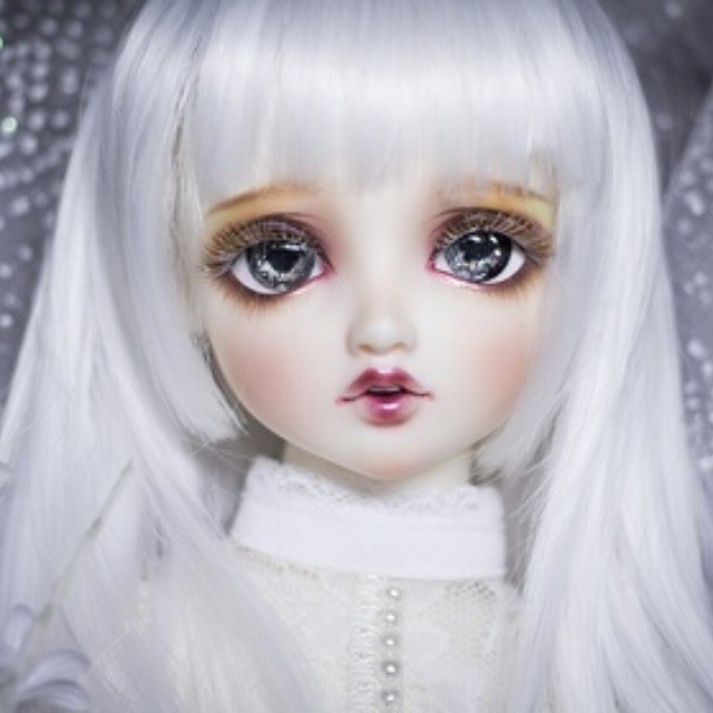 dolcebella bjd