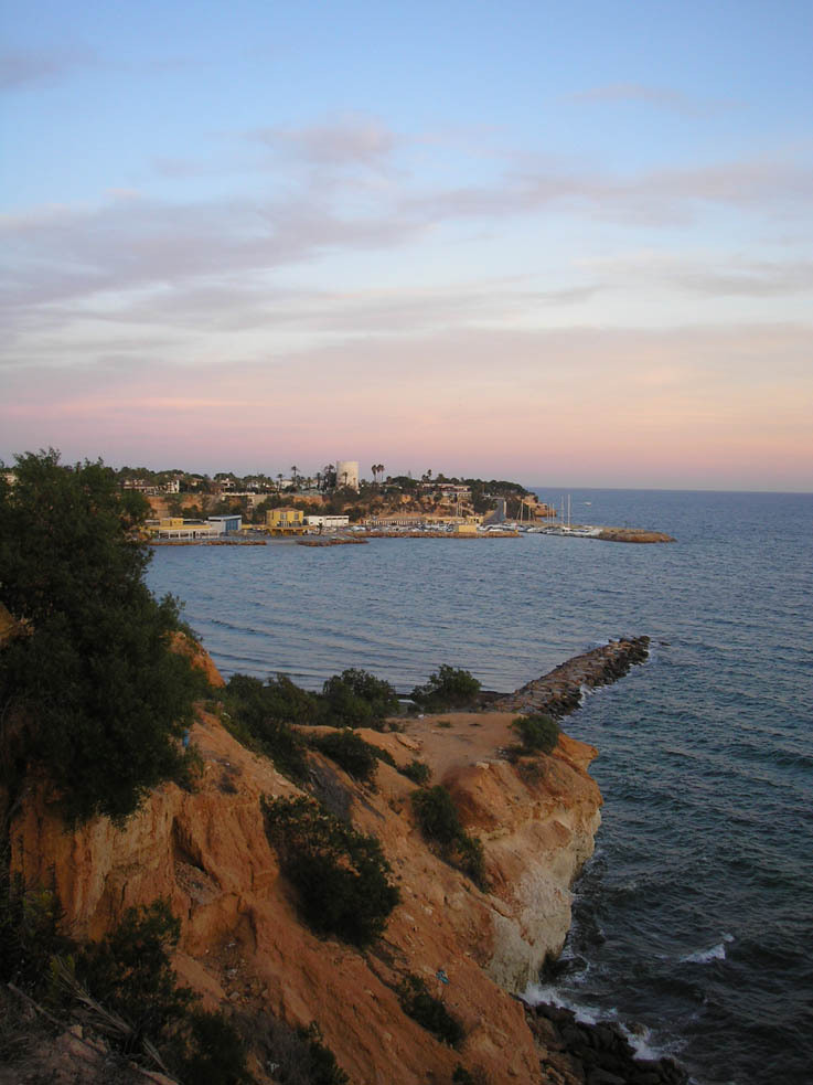 Butterflies and Wildflowers in Cabo Roig Spain