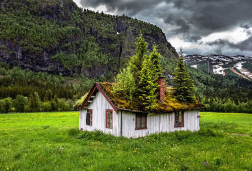 abandonedandurbex:Somewhere in Norway [1024 x 694] (xpost from...