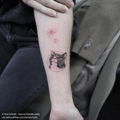 By Eva krbdk · Havva Karabudak, done at Bang Bang Tattoo,... evakrbdk;pet;feline;animal;facebook;twitter;inner forearm;medium size;cat;illustrative