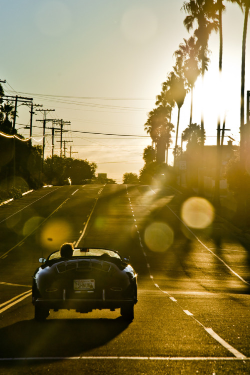 lifestyleoftheunemployed:Your morning commute should look like...