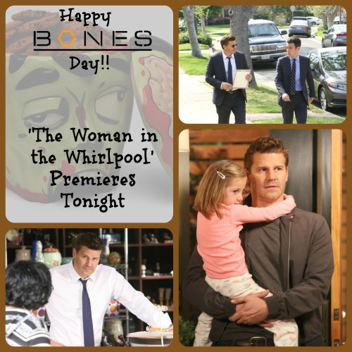 happy bones day happy bones day