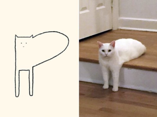 catasters