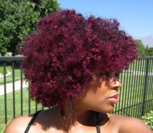 naturalhairqueens:Love the color in her hair! (All her real...