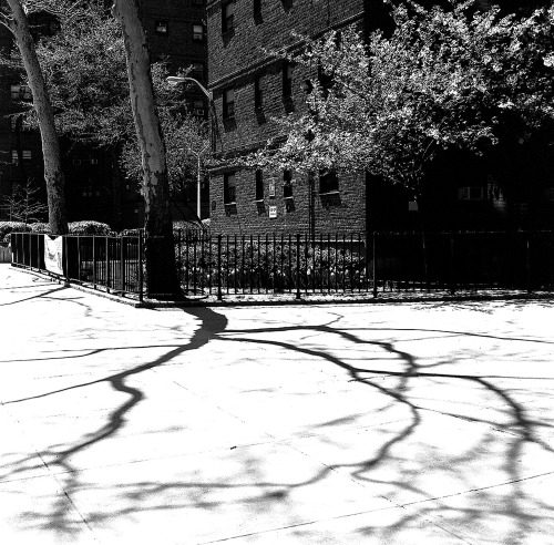 newberynyc:New York Spring in High Contrast B&WHasselblad...