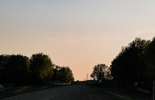 thisherelight:mid may in alberta