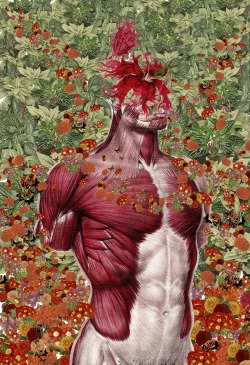 Incredible anatomical collage works from Travis Bedel - follow him on Tumblr HERE