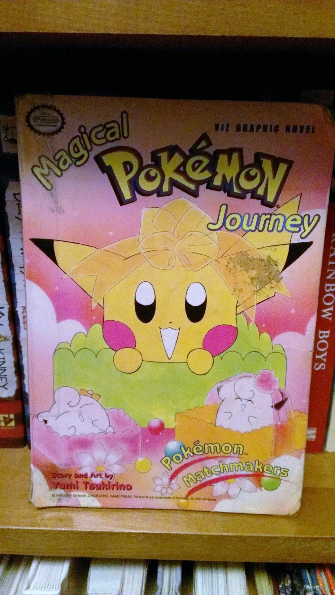 pokemon journey manga