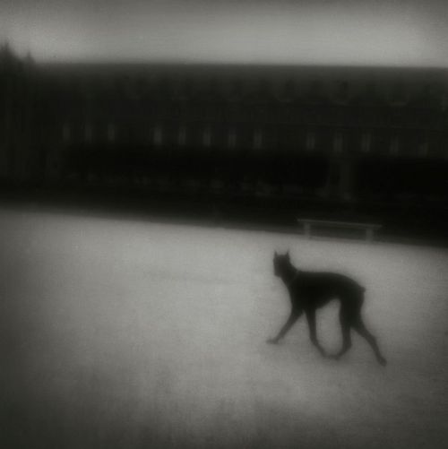 semioticapocalypse:Matt Mahurin. Paris. 1984[::SemAp Twitter...