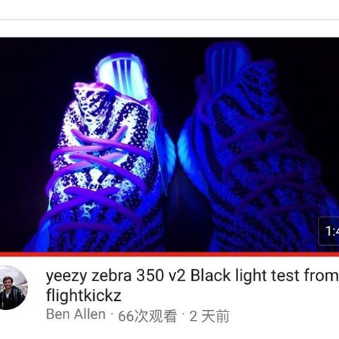 yeezy zebra black light
