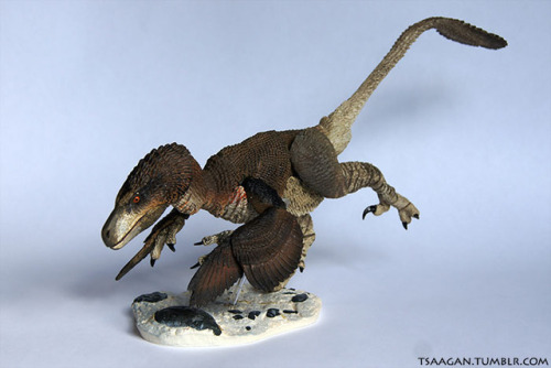 tsaagan:Beasts of the Mesozoic: Raptor Series 1/6th scale...