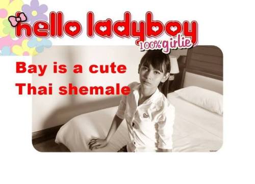 helloladyboys:Bay is a cute Thai shemale that loves to play...