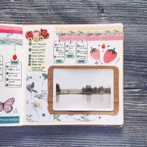 hannybstudies:inspo: wildflowers, fresh strawberries, picnic by...