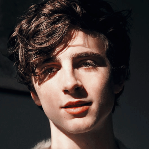 Timothée Chalamet Icons | Tumblr