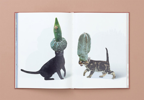 itscolossal:Cats & Plants: A 152-Page Book of Nothing but...