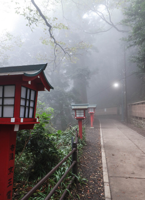 Day 5 in Japan.I climbed Mt. Takao! Well, ok, I took the cable...