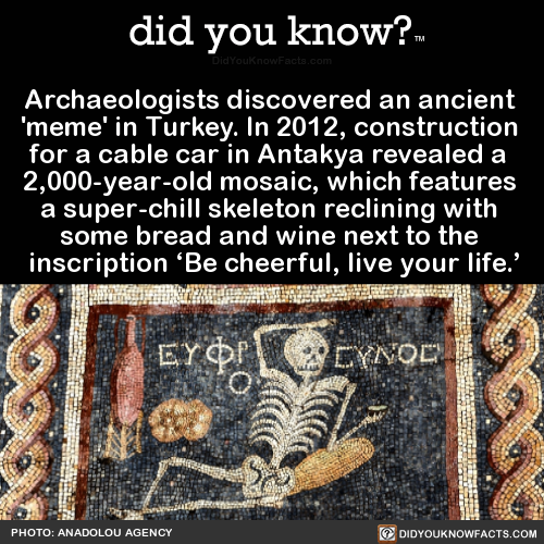 did-you-know-archaeologists-discovered-an-ancient