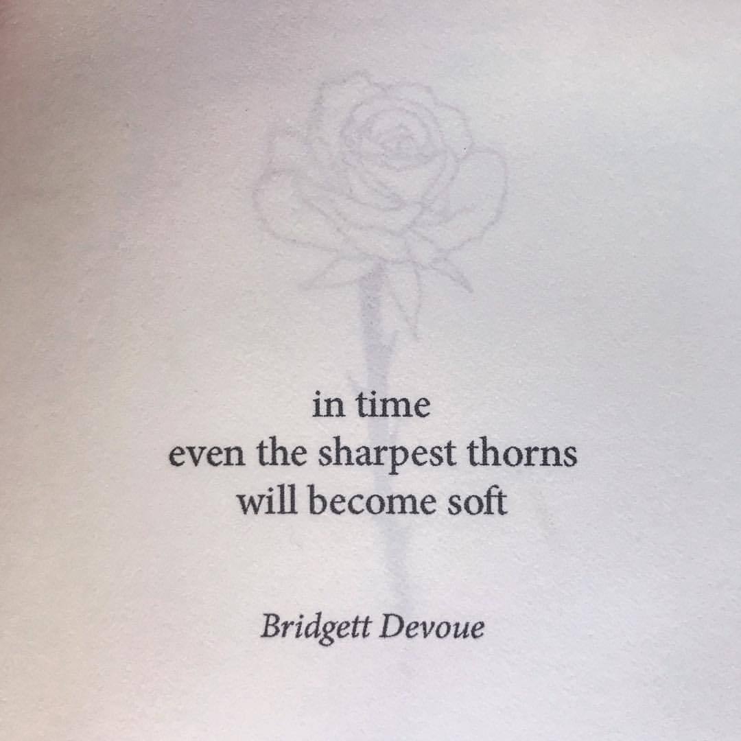 soft thorns poetry