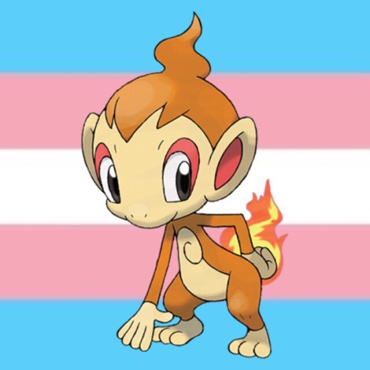 pokemon porn gay squirtle