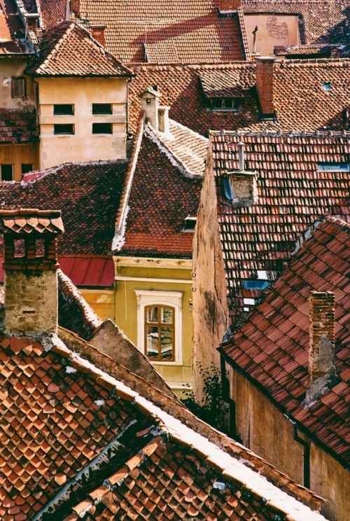 archae-heart:Brasov, Romania