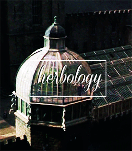 harry potter herbology hpedit harry potter gif my gifs siriusblacknetwork ministryofmagicnetwork slytherinnetwork hermionenet quidditchcupnet hogwarts classes 2 hphousesnet hpotternetwork 1k